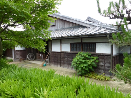 画像7